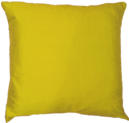Empire Cushion Gold Cover
