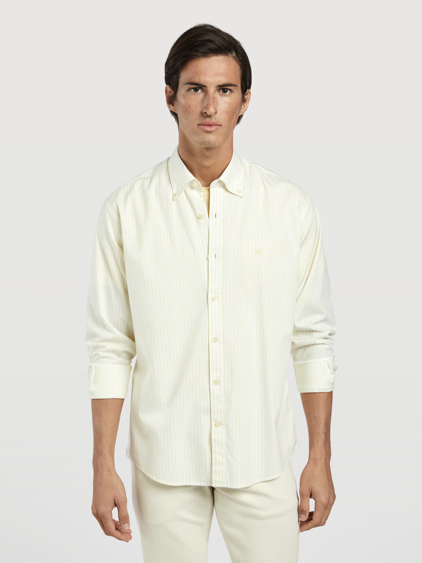 Regular fit 100%BCI cotton striped oxford shirt