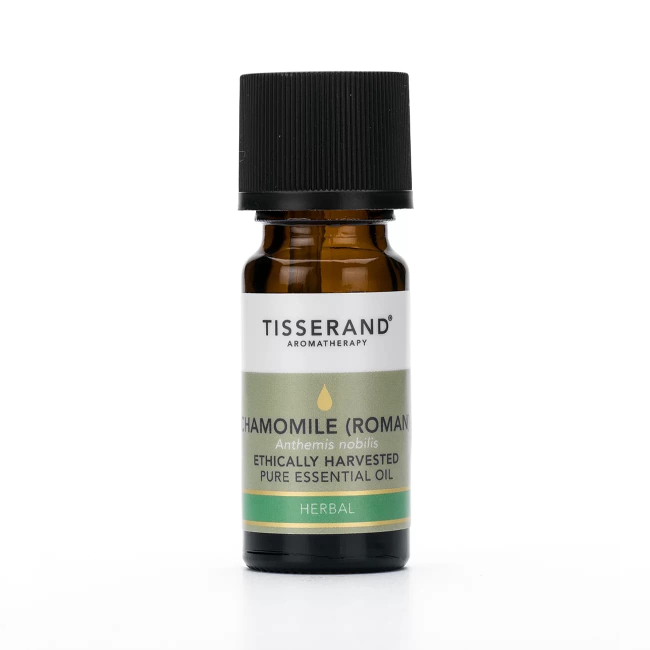 Essential Chamomile Oil